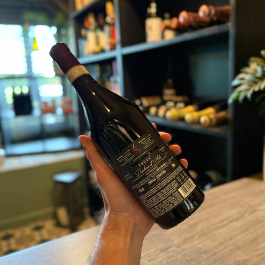 Enrico Serafino Barbara D'Asti